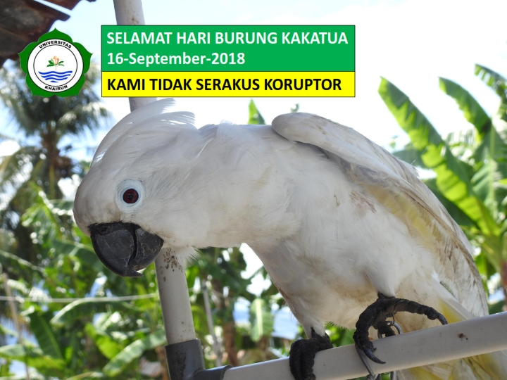 SELAMAT HARI BURUNG KAKATUA 2018